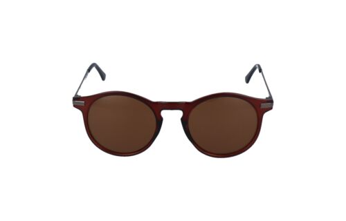 Lentes de Sol Montini SP3854 Café Brillante 2031318