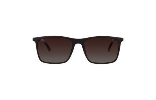 Lentes de Sol Arena 8340 Café Mate 2058368