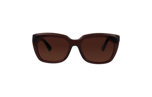 Lentes de Sol D´Arezzo LT1063 Café Cristal 2061577