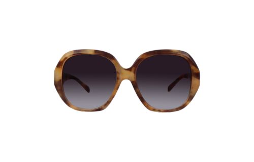 Lentes de Sol Ferraro SP7131 Café Tortoise 2062298