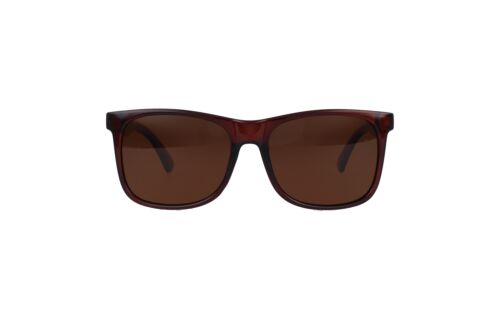 Lentes de Sol Ferraro SP7559 Café Cristal 2062751