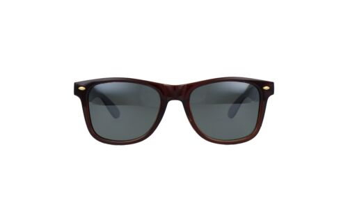 Lentes de Sol Ferraro SP7850 Café Cristal 2062890