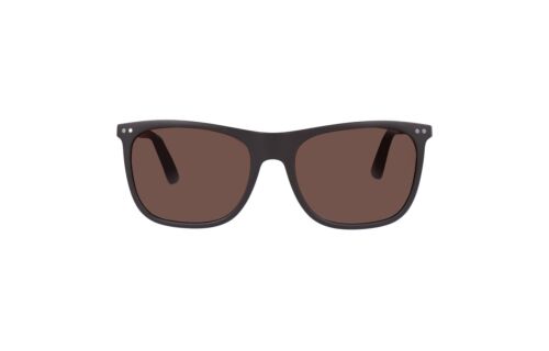 Lentes de Sol Arena 8332 Café 2065335